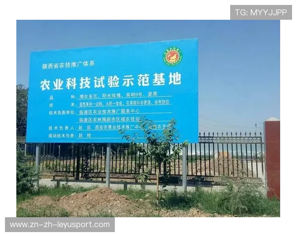 世界篮球联赛在推广中注重基层师资建设与场地资源下沉带动区域发展
